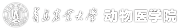 威廉希尔中文官方网站