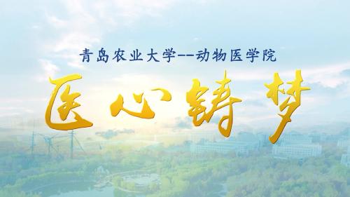 威廉希尔中文官方网站宣传片