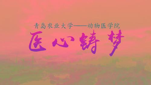 医心铸梦--2018年威廉希尔中文官方网站教学科研宣传片
